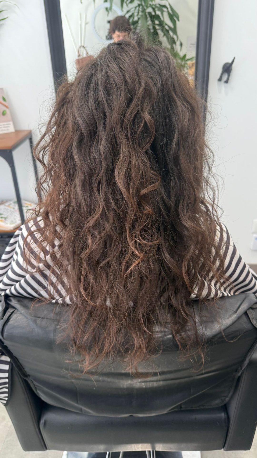Cabello rizado real antes de Método Curly, seco y encrespado.